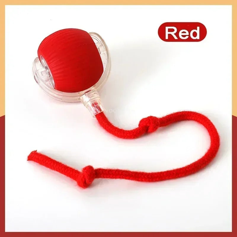 Pelota Interactiva Para Tus Mascotas